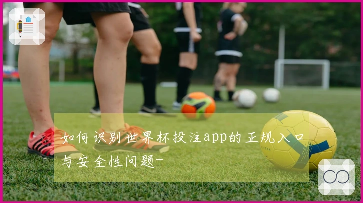 如何识别世界杯投注app的正规入口与安全性问题-