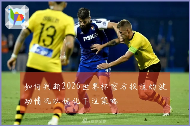 如何判断2026世界杯官方投注的波动情况以优化下注策略