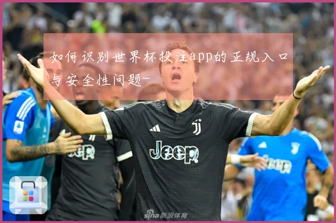 如何识别世界杯投注app的正规入口与安全性问题-