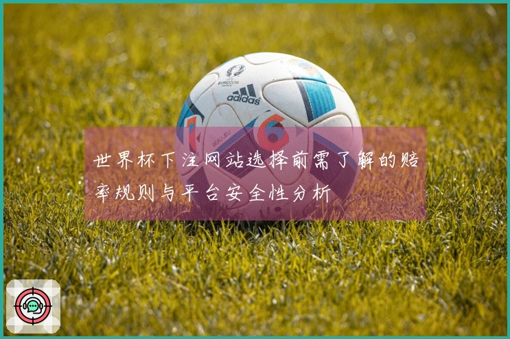 世界杯下注网站选择前需了解的赔率规则与平台安全性分析