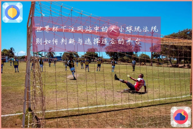世界杯下注网站中的大小球玩法规则如何判断与选择适合的平台